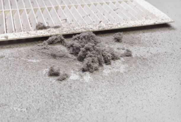 Best Ventilation Cleaning Services  in Pulaski, VA
