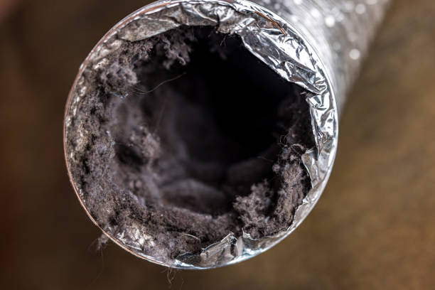 Reliable VA Airduct Cleaning Solutions